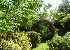Hôtel Aval du Creux - Ile de Sark (Sercq) - Menu 5 Plats - Jerseytour - Voyages Sark