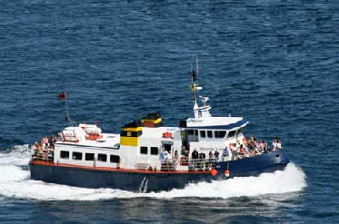wp5057eec5_0f.jpg